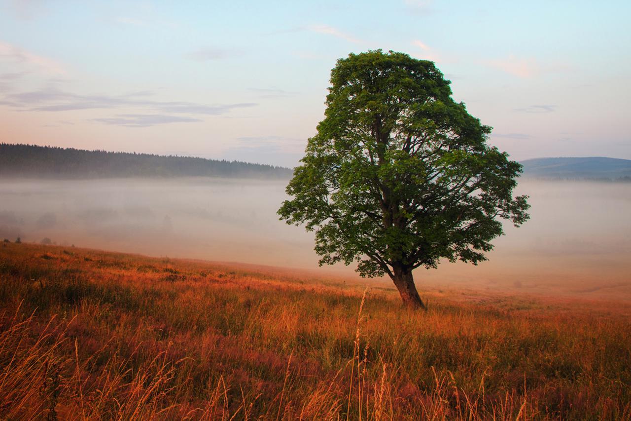 Statek Ceska Lipa Myslovice Hotel Klatovy Bagian luar foto